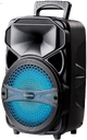 PARLANTE VANTEC DINAMITA 8" FM BLUETOOTH USB MICRO SD