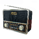 RADIO MULTIBANDA WOOU-332BT